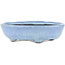 Oval blue bonsai pot by Bunzan - 125 x 110 x 35 mm