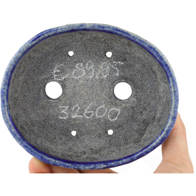 Maceta ovalada para bonsái azul de Bunzan - 130 x 105 x 40 mm