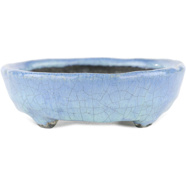 Maceta ovalada para bonsái azul de Bunzan - 125 x 110 x 35 mm