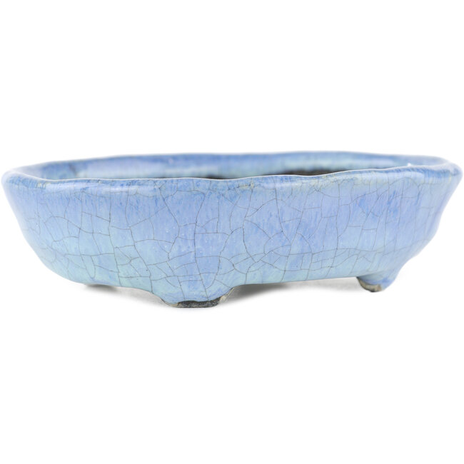 Vaso bonsai ovale blu di Bunzan - 125 x 110 x 35 mm