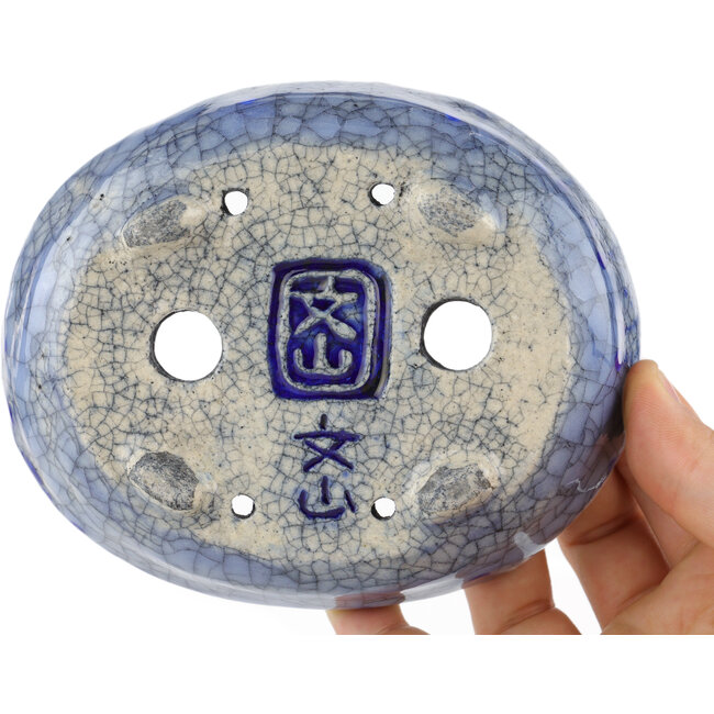 Maceta ovalada para bonsái azul de Bunzan - 130 x 105 x 40 mm
