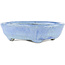 Oval blue bonsai pot by Bunzan - 125 x 110 x 35 mm