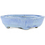 Ovaler blauer Bonsai-Topf von Bunzan - 125 x 110 x 35 mm