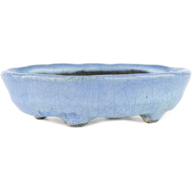 Vaso bonsai ovale blu di Bunzan - 125 x 110 x 35 mm