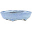 Oval blue bonsai pot by Bunzan - 125 x 110 x 35 mm