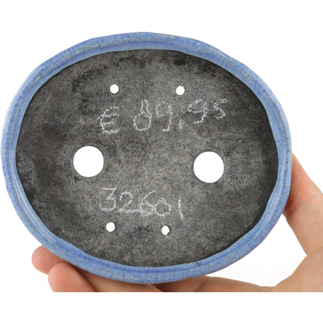 Maceta ovalada para bonsái azul de Bunzan - 125 x 110 x 35 mm