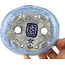 Ovaler blauer Bonsai-Topf von Bunzan - 125 x 110 x 35 mm
