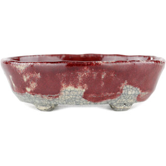 Bunzan 125 mm  red and white bonsai pot by Bunzan, Tokoname, Japan