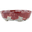 Oval red and white bonsai pot by Bunzan - 125 x 105 x 40 mm