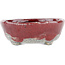 Oval red and white bonsai pot by Bunzan - 125 x 105 x 40 mm