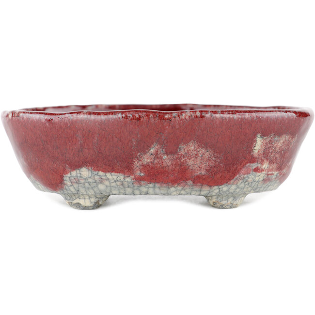 Vaso bonsai ovale rosso e bianco di Bunzan - 125 x 105 x 40 mm