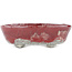 Ovaler rot-weißer Bonsai-Topf von Bunzan - 125 x 105 x 40 mm