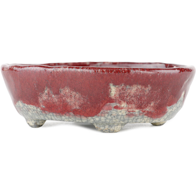 Ovaler rot-weißer Bonsai-Topf von Bunzan - 125 x 105 x 40 mm
