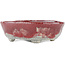 Ovaler rot-weißer Bonsai-Topf von Bunzan - 125 x 105 x 40 mm