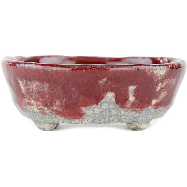 Vaso bonsai ovale rosso e bianco di Bunzan - 125 x 105 x 40 mm