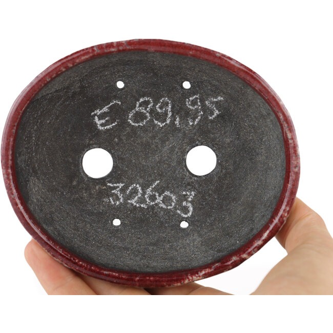 Pot à bonsaï ovale rouge et blanc par Bunzan - 125 x 105 x 40 mm