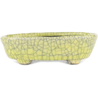  Bunzan Pot à bonsaï jaune 115 mm par Bunzan, Tokoname, Japon