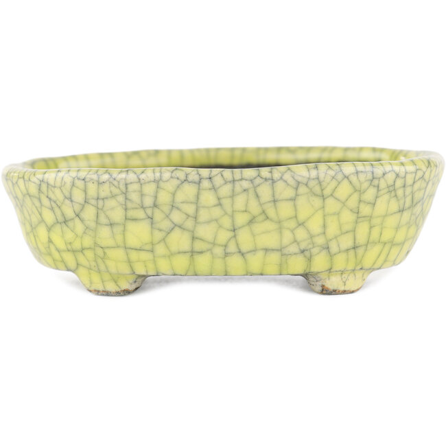 Oval yellow bonsai pot by Bunzan - 115 x 100 x 30 mm