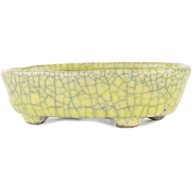 Oval yellow bonsai pot by Bunzan - 115 x 100 x 30 mm