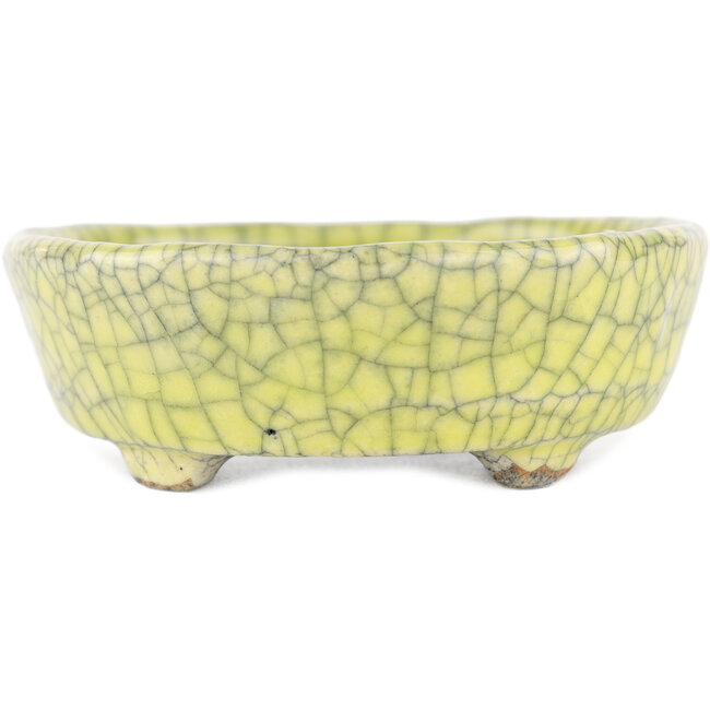 Ovale gele bonsaipot van Bunzan - 115 x 100 x 30 mm