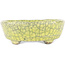 Ovale gele bonsaipot van Bunzan - 115 x 100 x 30 mm