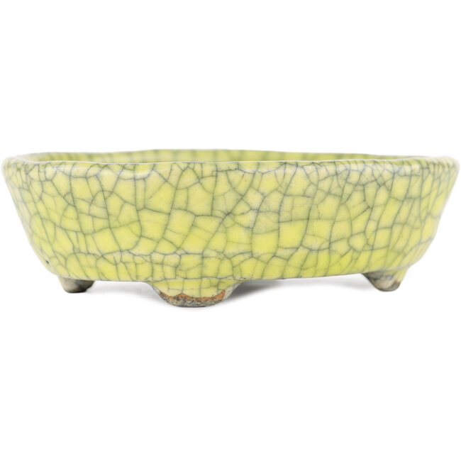 Oval yellow bonsai pot by Bunzan - 115 x 100 x 30 mm
