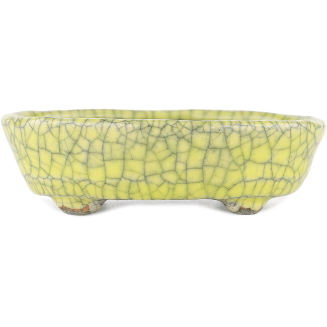 Ovale gele bonsaipot van Bunzan - 115 x 100 x 30 mm