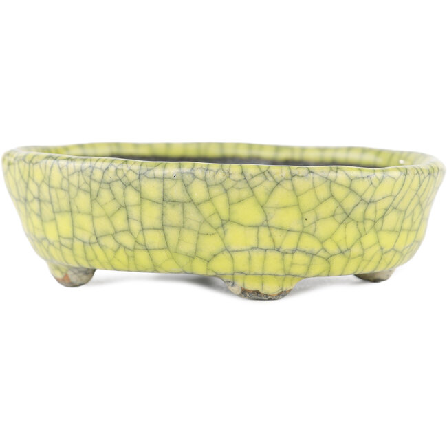 Pot à bonsaï ovale jaune par Bunzan - 115 x 100 x 30 mm
