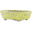 Ovale gele bonsaipot van Bunzan - 115 x 100 x 30 mm