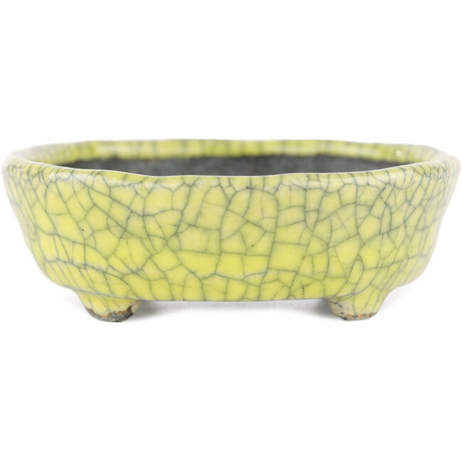 Pot à bonsaï ovale jaune par Bunzan - 115 x 100 x 30 mm