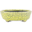 Oval yellow bonsai pot by Bunzan - 115 x 100 x 30 mm