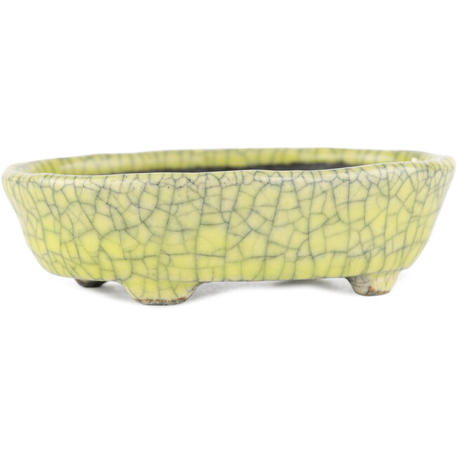 Oval yellow bonsai pot by Bunzan - 115 x 100 x 30 mm