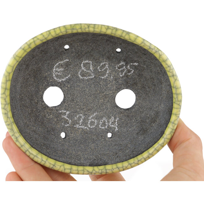 Ovale gele bonsaipot van Bunzan - 115 x 100 x 30 mm