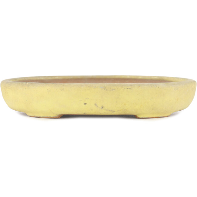 Pot à bonsaï ovale jaune par Yamafusa - 160 x 135 x 25 mm