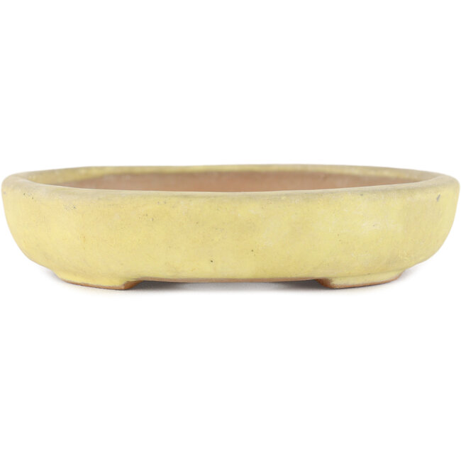 Pot à bonsaï ovale jaune par Yamafusa - 160 x 135 x 25 mm