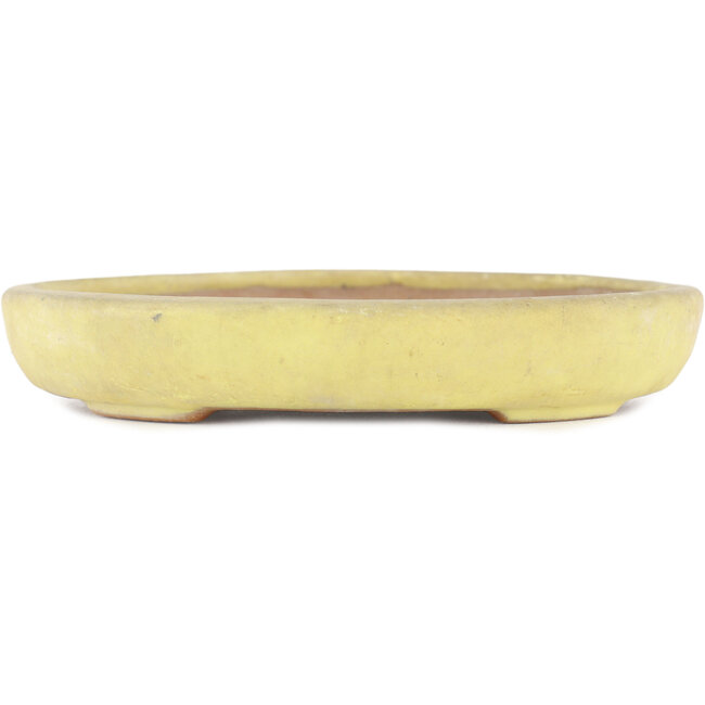 Pot à bonsaï ovale jaune par Yamafusa - 160 x 135 x 25 mm