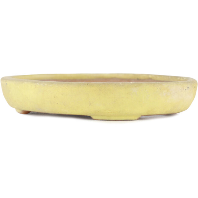Ovale gele bonsaipot van Yamafusa - 160 x 135 x 25 mm