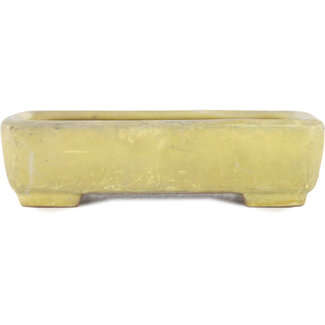  Yamafusa - Takehiko Koie Pot à bonsaï jaune 130 mm par Yamafusa, Tokoname, Japon