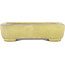 Rectangular yellow bonsai pot by Yamafusa - 130 x 116 x 25 mm