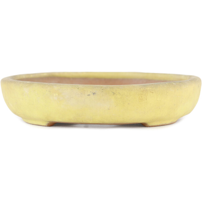 Oval yellow bonsai pot by Yamafusa - 160 x 135 x 25 mm