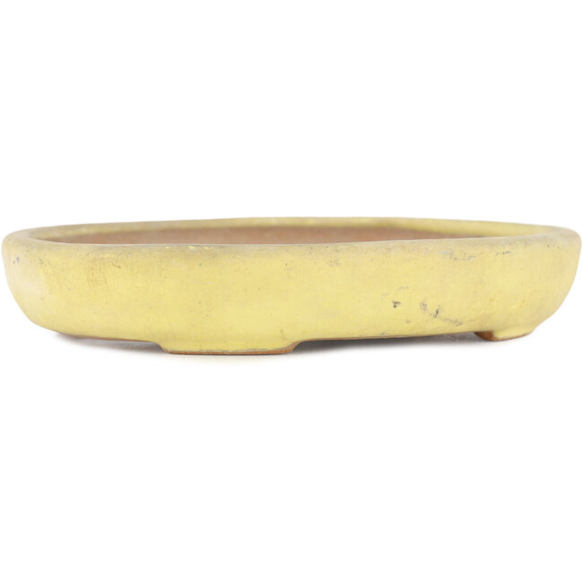 Ovale gele bonsaipot van Yamafusa - 160 x 135 x 25 mm