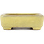 Rectangular yellow bonsai pot by Yamafusa - 130 x 116 x 25 mm