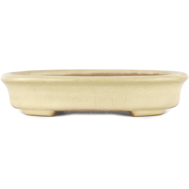 Oval beige bonsai pot by Yamafusa - 135 x 110 x 30 mm