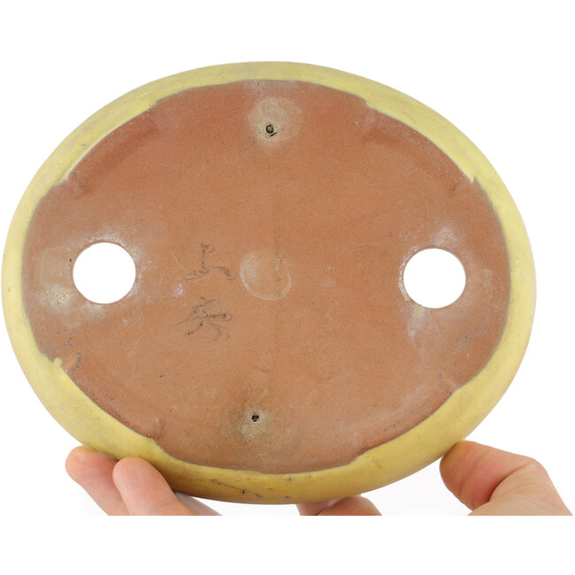 Ovale gele bonsaipot van Yamafusa - 160 x 135 x 25 mm