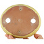 Maceta ovalada para bonsái amarilla de Yamafusa - 160 x 135 x 25 mm