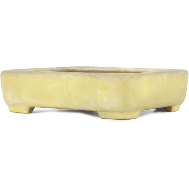 Vaso bonsai rettangolare giallo di Yamafusa - 130 x 116 x 25 mm