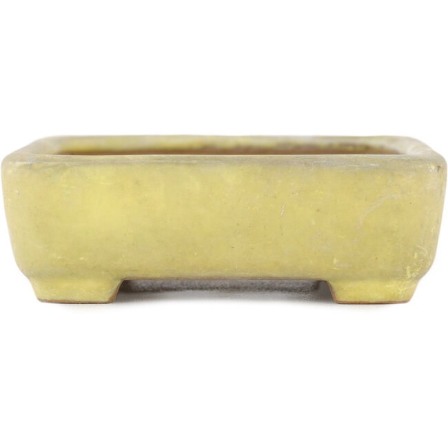 Maceta rectangular para bonsái amarilla de Yamafusa - 130 x 116 x 25 mm