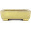 Rectangular yellow bonsai pot by Yamafusa - 130 x 116 x 25 mm