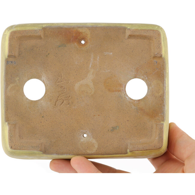 Pot à bonsaï rectangulaire jaune par Yamafusa - 130 x 116 x 25 mm