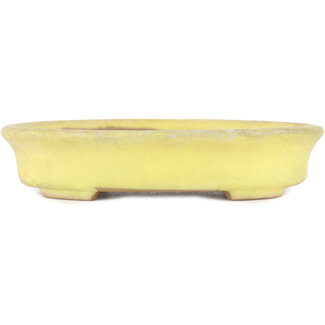 Yamafusa - Takehiko Koie 140 mm  yellow bonsai pot by Yamafusa, Tokoname, Japan